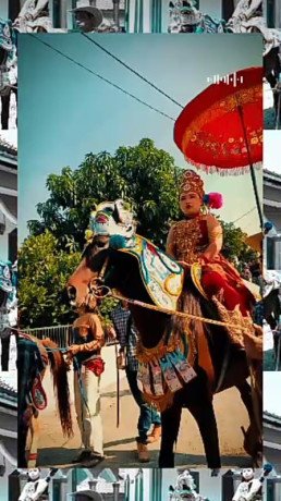 kuda-renggong-suryadilaga-big-1