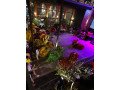 sewa-barongsai-tjong-a-fei-small-0