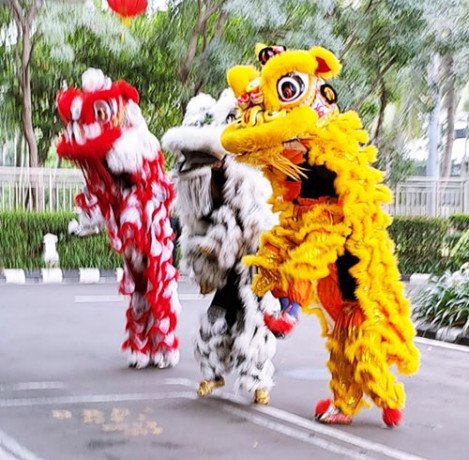 barongsai-liong-koh-along-big-0