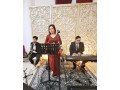 organ-tunggal-pernikahan-dll-small-1