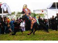 kuda-renggong-kencanapura-small-1