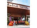 grup-barongsai-the-tjien-sing-small-0
